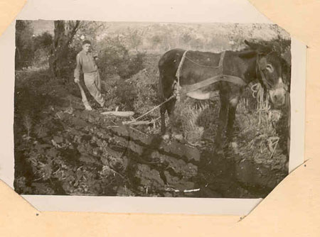 ww13