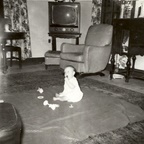 test20005.jpg