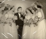 test20054.jpg