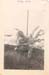 squating by fence